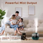 BEAR Humidificateur 5L à Remplissage par le Haut : Avis Complet et Test