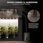 Spider Farmer Humidificateur 5L : Avis Complet et Test 2025